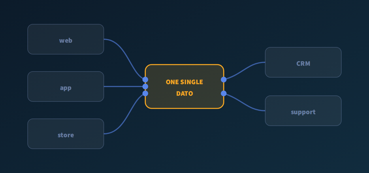Website, app and store sharing one single record with the CRM and support
